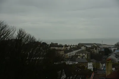 DSC_1255 (Large).JPG